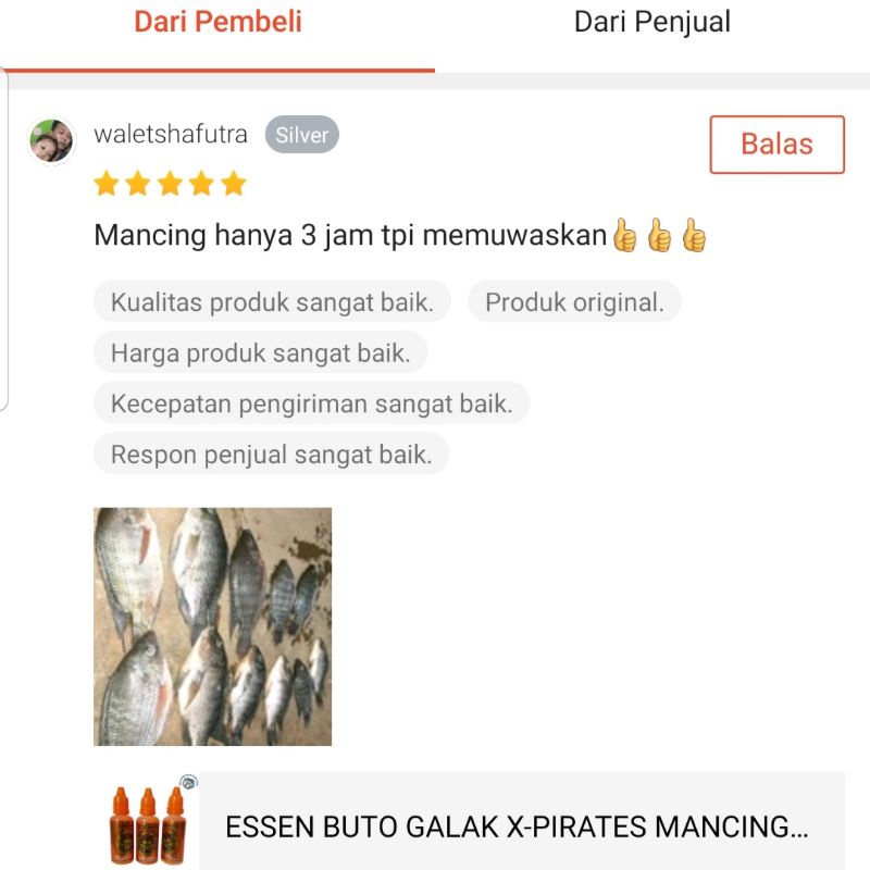 ESEN BUTO GALAK X-PIRATES MANCING NILA