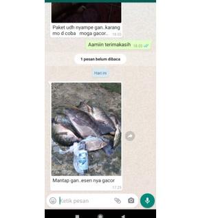 Barang Pilihan.. Essen Pancing GO Strike