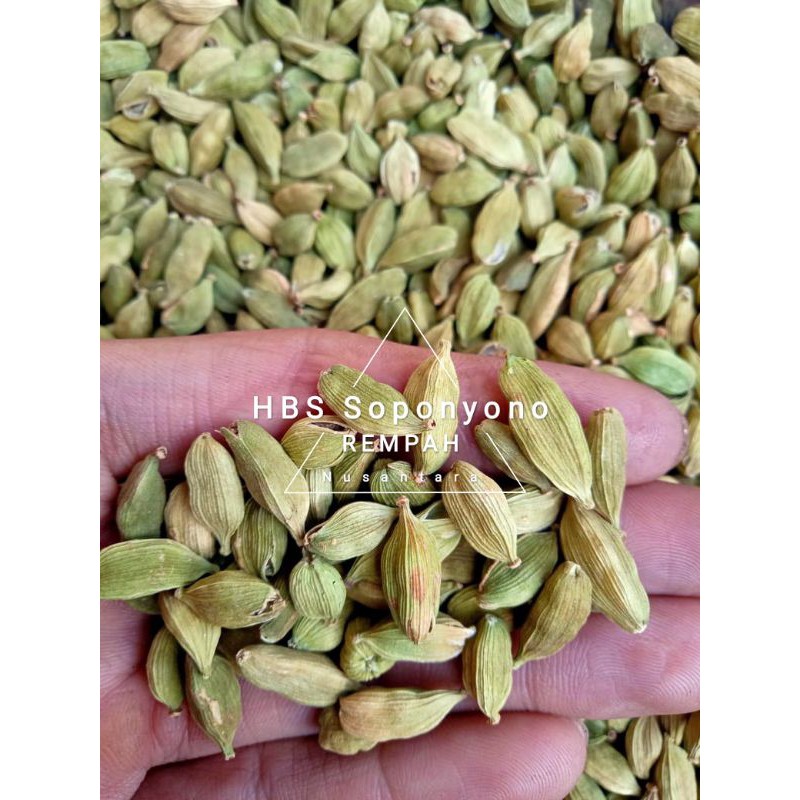 

Kapulaga Hijau (Arab/India) kualitas SUPER (Premium) kemasan 10gr, 25gr, 50gr / Kapulogo