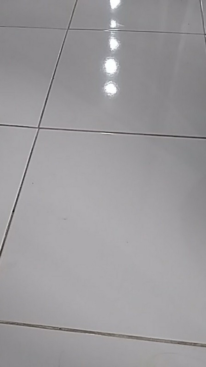 Handle Pencetan Sprayer Elektrik