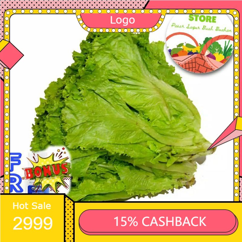 

RENGKEK SURABAYA - Sayur - Selada Keriting