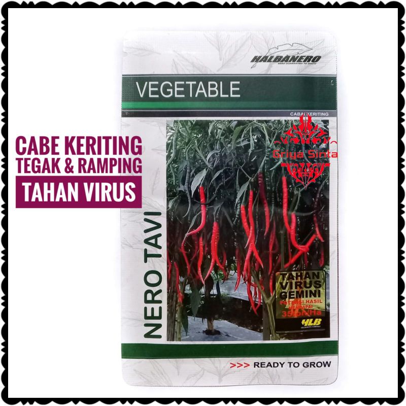 Benih Cabe NERO TAVI cabai keriting tahan virus hama