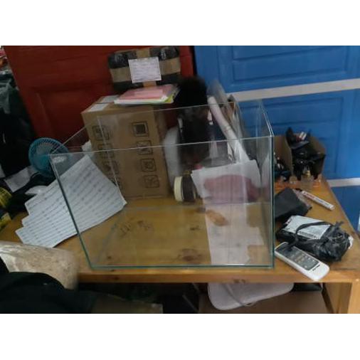 disini aja AQUARIUM KACA 5MM 50X30X35 (KHUSUS INSTAN KURIR) unggulan