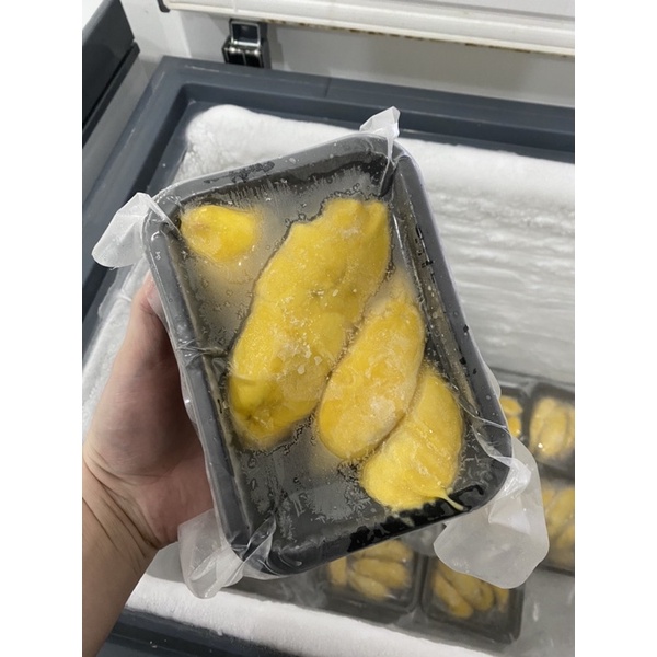 

Durian Musangking Import Grosir / Resell - Gudang durian ko vincent