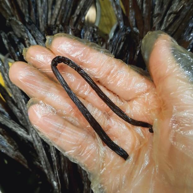 

VANILLA BEAN / VANILA BATANG /VANILI KERING GRADE A GOURMET PLANIFOLIA