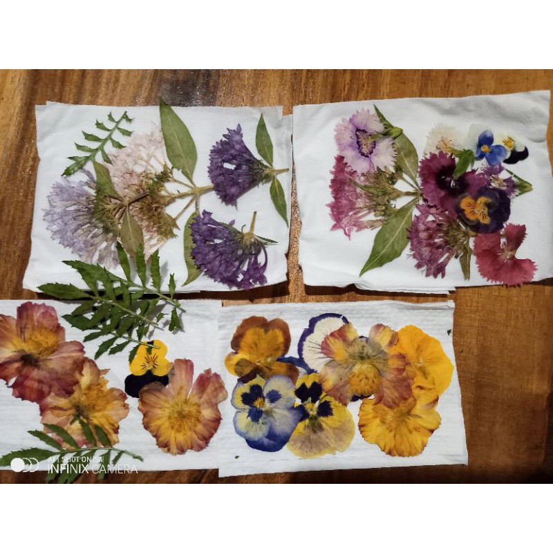 

Bunga kering/oshibana/edible flower