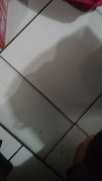 Box Container Mega Shinpo Cb 130 / Tempat Penyimpanan Barang Serbaguna