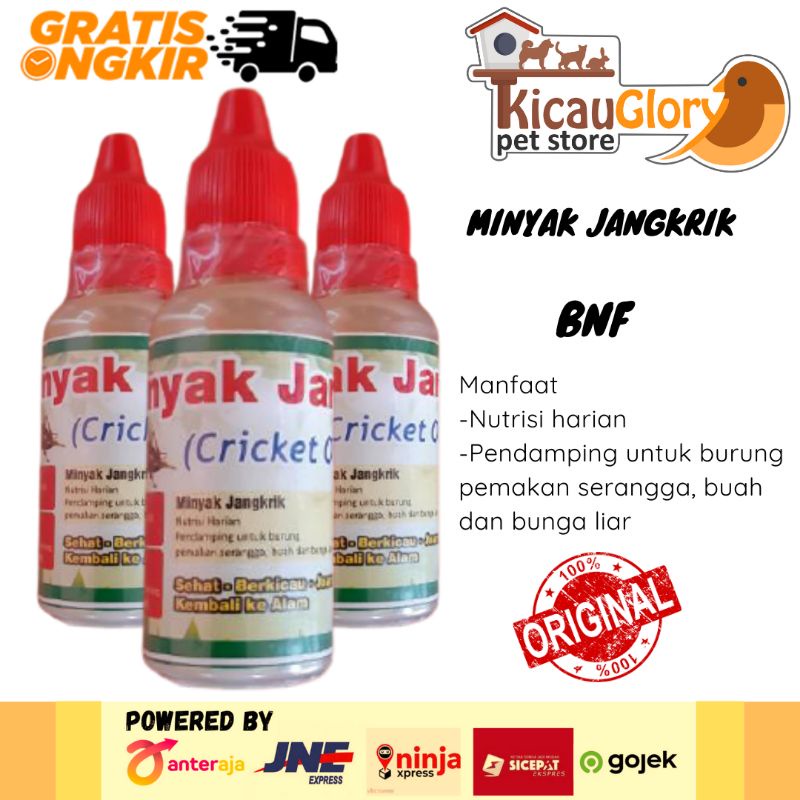 Minyak Jangkrik Vitamin untuk Burung Berkicau
