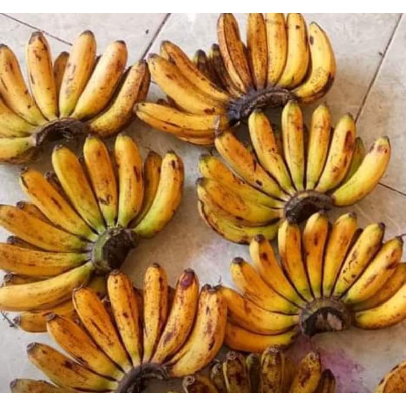 

Pisang Barangan Citra Segar Sehat Paket 10 Sisir