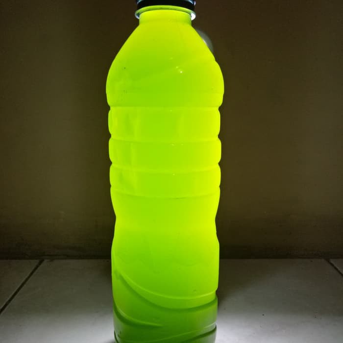 bibit untuk kultur chlorella