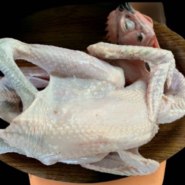 

PASAR ONLINE MURAH - AYAM KAMPUNG 1 EKOR