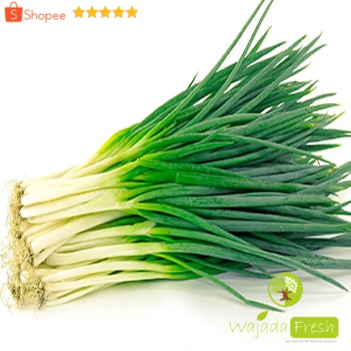 

Daun Bawang fresh