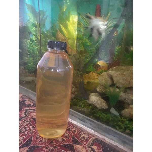 

Cuka Apel Curah / Polosan Apple Vinegar Kemasan 1000 ml / 1 Liter