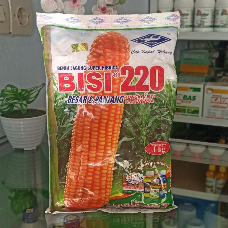 Benih jagung hibrida bisi 220 kapal terbang