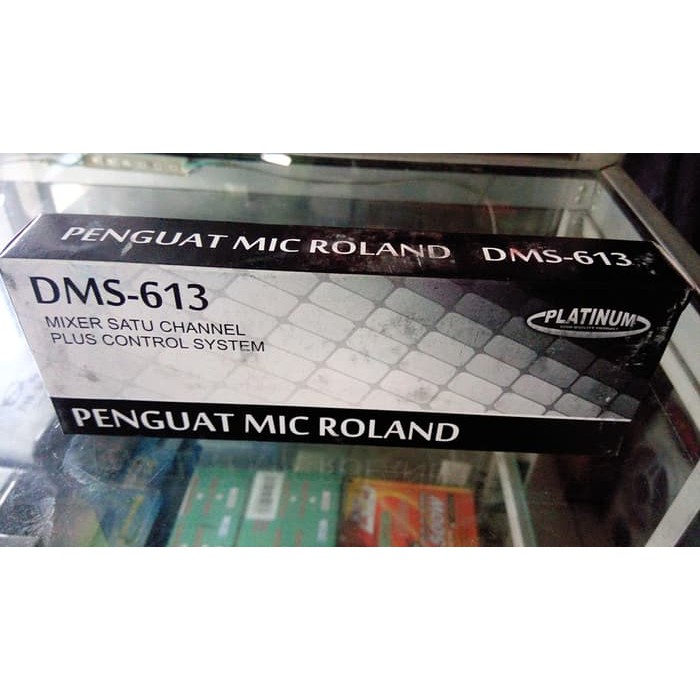 PENGUAT MIC ROLAND MIXER 1 CH PLUS CONTROL SYSTEM DMS 613