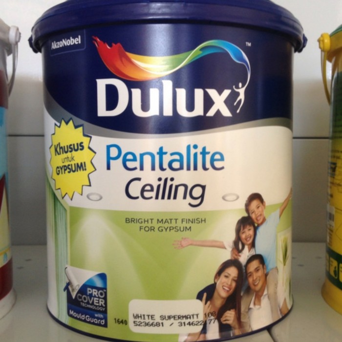 Dulux pentalite ceiling 5KG