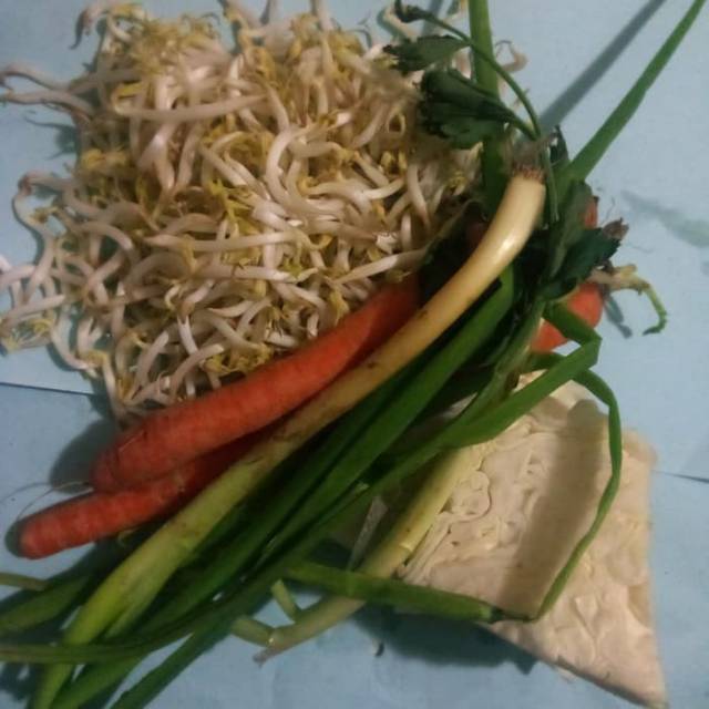 

Sayur toge