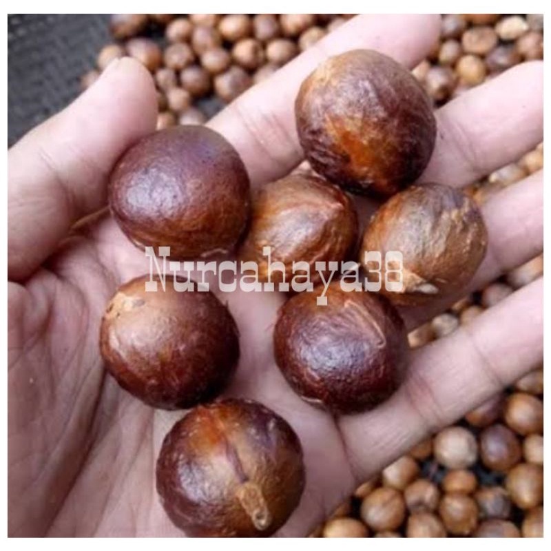 

BUAH PALA KERING 1kg