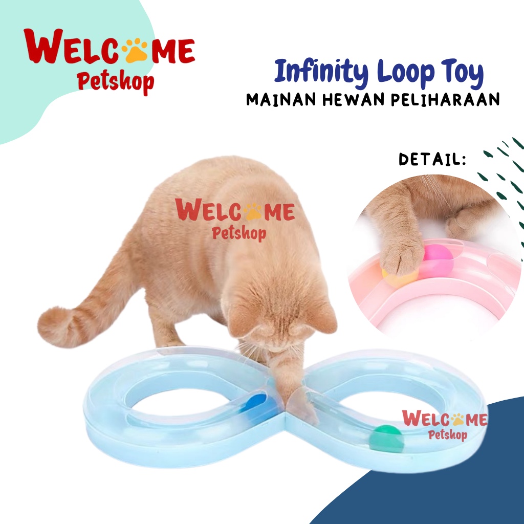 Infinity Loop Toy Mainan Kucing Bola Mutar Cat Toy Interaktif