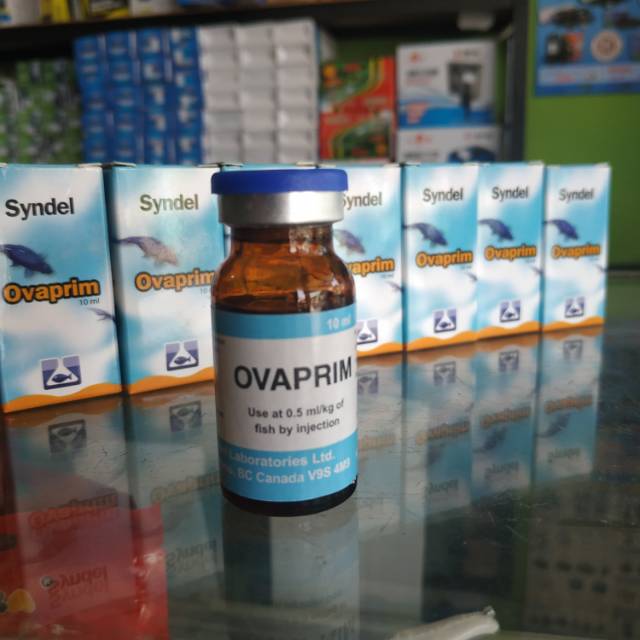 Hormon ikan ovaprim syndel 10ml