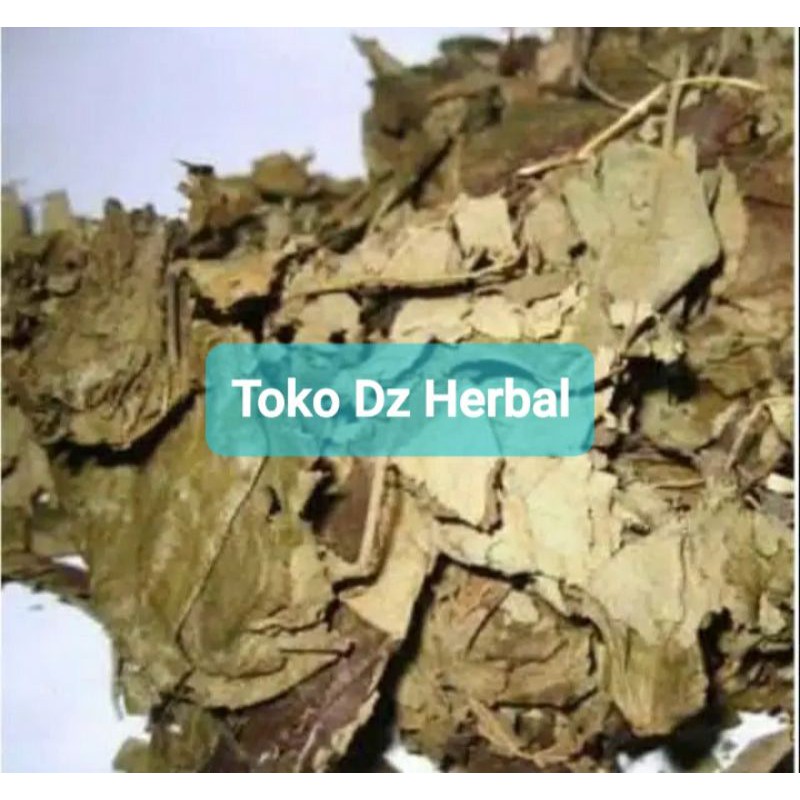 

Jual daun jati / daun jati jawa kering 200 gram-az