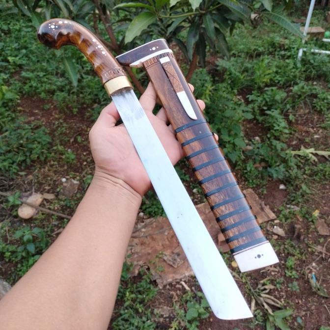 TARISI GOLOK