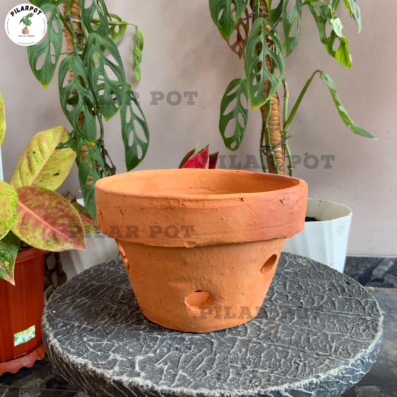 pot bunga tanaman anggrek tanah liat terracotta - POT ANGGREK TANAH