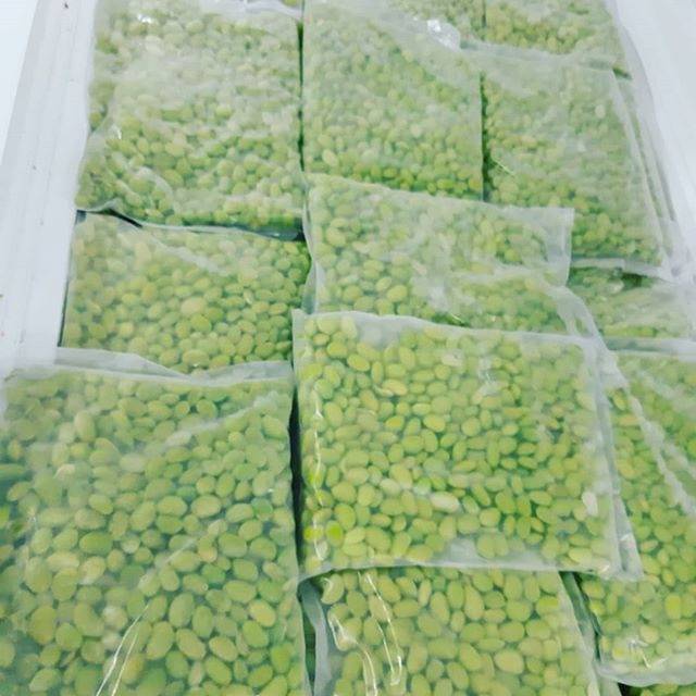 

Edamame Kupas / Mukimame Kupas Fresh Quality Original 500 gr