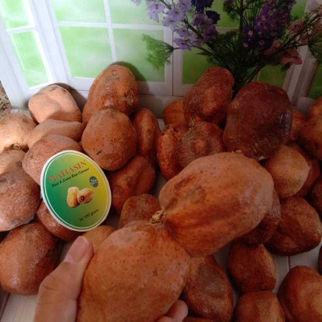 

Buah zuriat