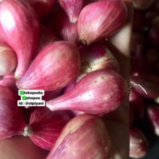 

SALE!! KODE-234 Bawang merah sedang 500gram