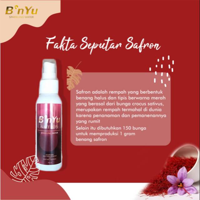 B'NYU SAFRON