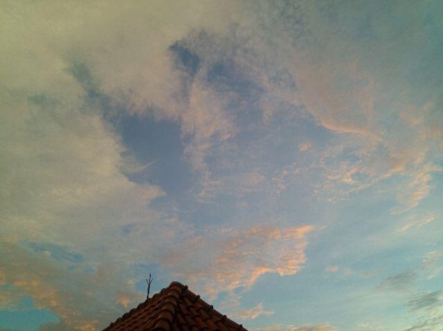 Batik Dianputri |  Couple Batik Wanita Motif Donggala