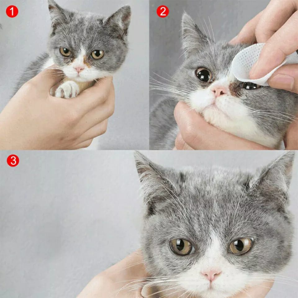 Tissue pembersih telinga dan mata kucing anjing