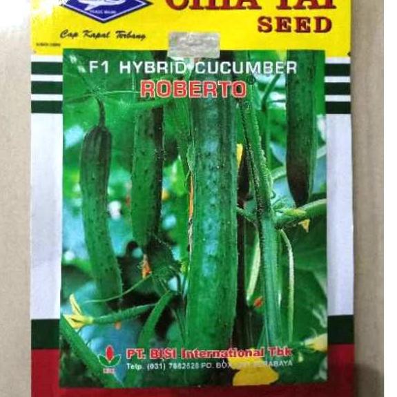 Dijual Murah  10g Benih Timun Jepang Roberto Bibit Timun Jepang Roberto Benih Timun Roberto – Chi