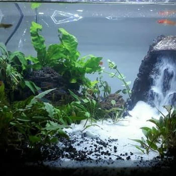 61 Koleksi Dekorasi Aquarium Air Terjun Terbaik