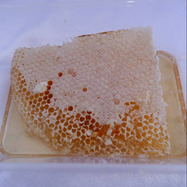 

SARANG MADU 500GR