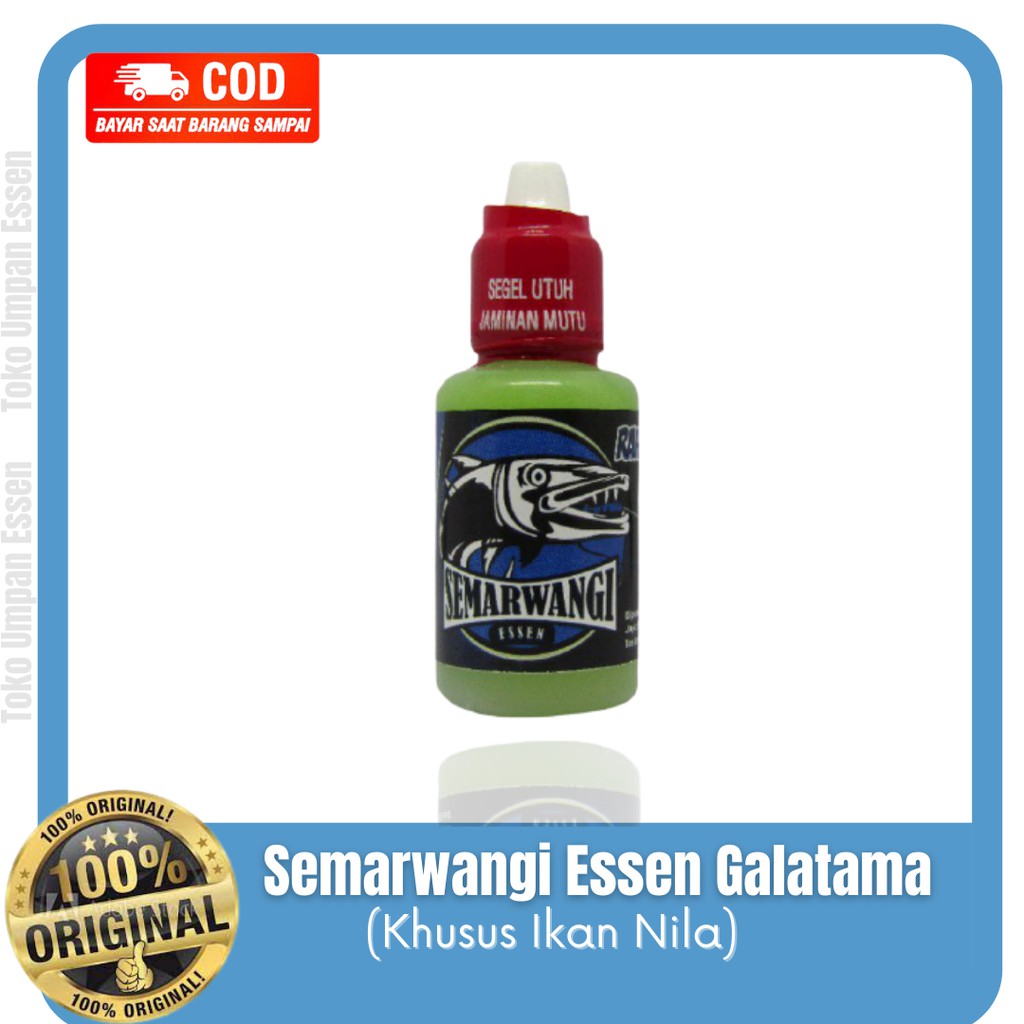 Semarwangi Essen Nila Galatama - Essen Nila Galatama - Essen Ikan Nila Liar - Essen Nila Media Lumut