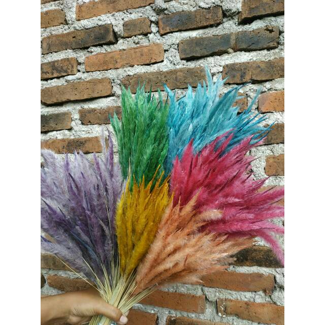 Bunga ilalang kering/bunga kering/buket bunga kering ungu dan oranye