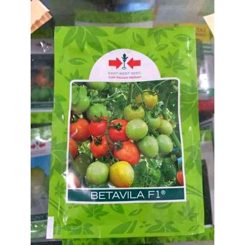 Benih Tomat Betavila f1 kemasan pabrik