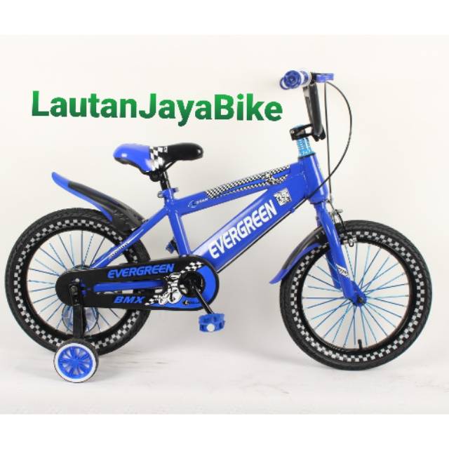 Sepeda Anak 16 Bmx Evergreen Logan New