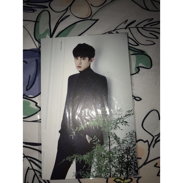 EXO OFFICIAL POSTCARD 2016 SEASON GREETING CHANYEOL