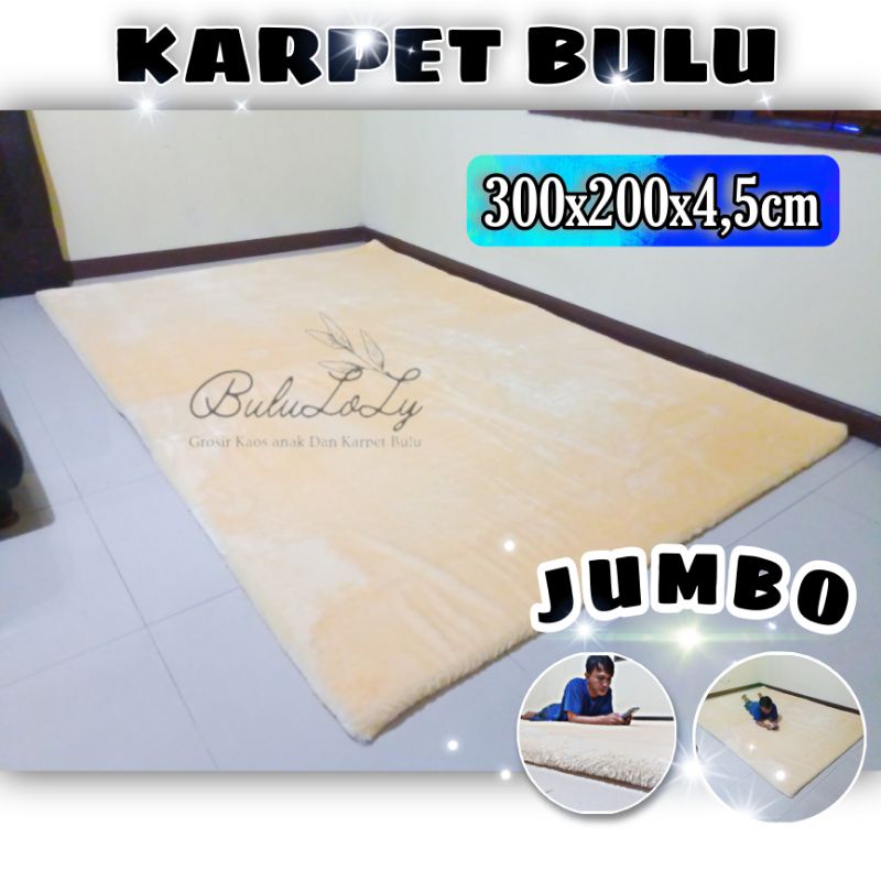 KARPET BULU RASPUR JUMBO 300 x 200 LEMBUT TEBAL 4,5 CM PREMIUM SURPET