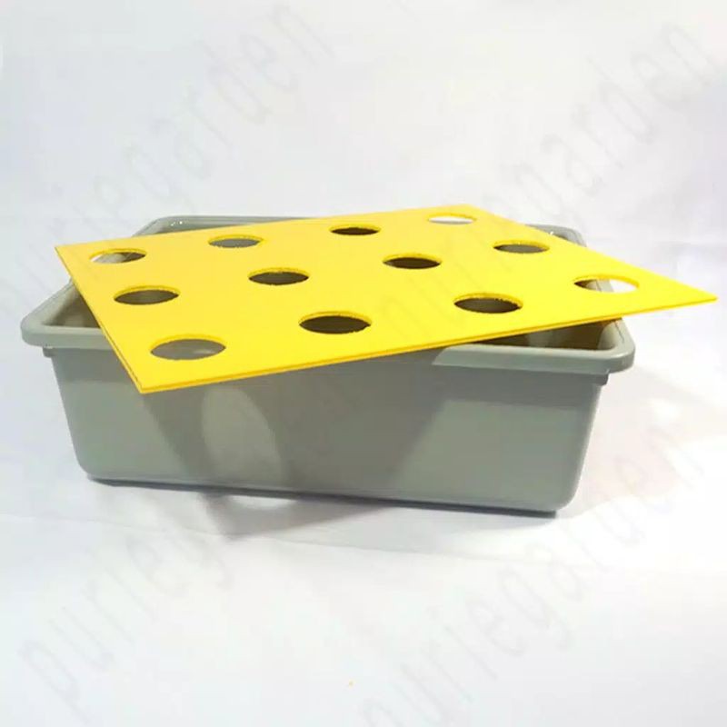 Bak &impraboard 12 Lubang Hidroponik Wick sistem