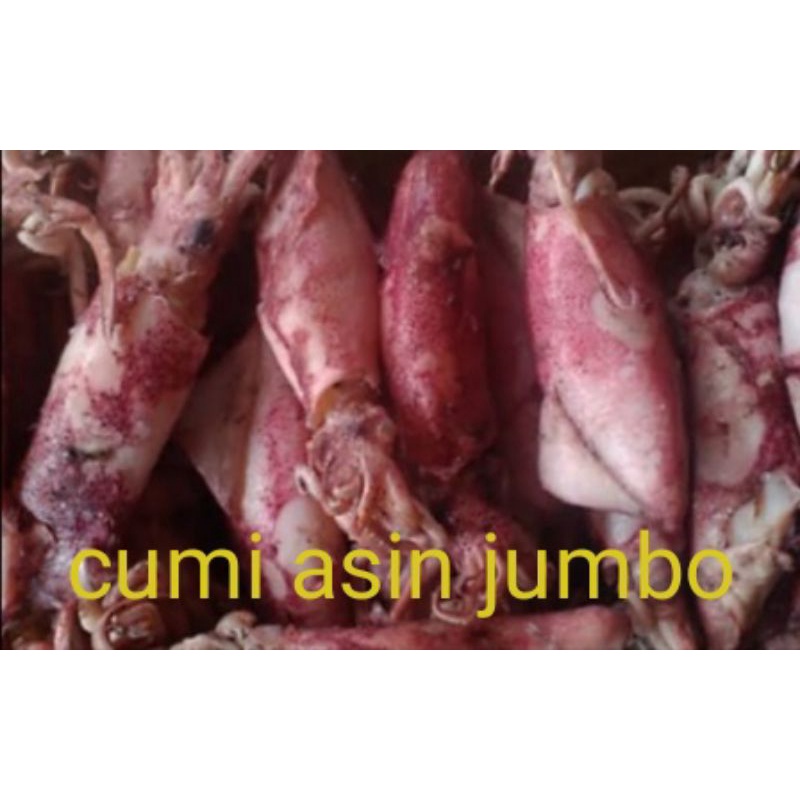 

cumi asin jumbo