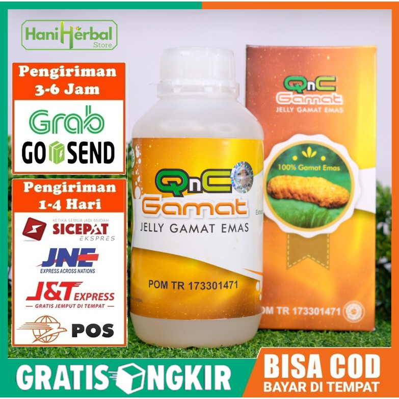 Qnc Jelly Gamat Obat Herbal Untuk Asam Urat Radang Tenggorokan Kolesterol Lambung Diabetes Maagh Indonesia