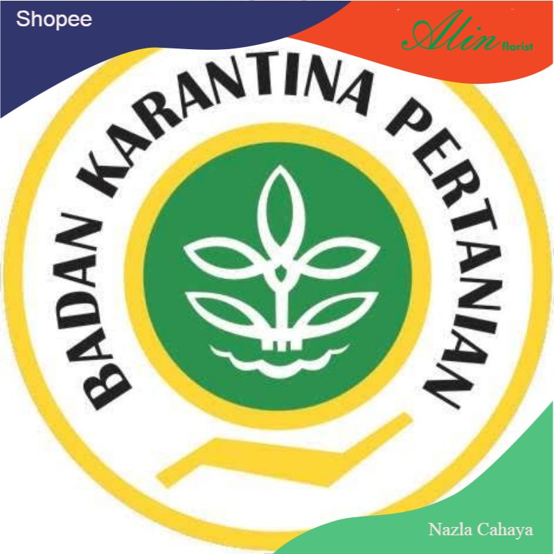 

karantina tumbuhan khusus luar pulau