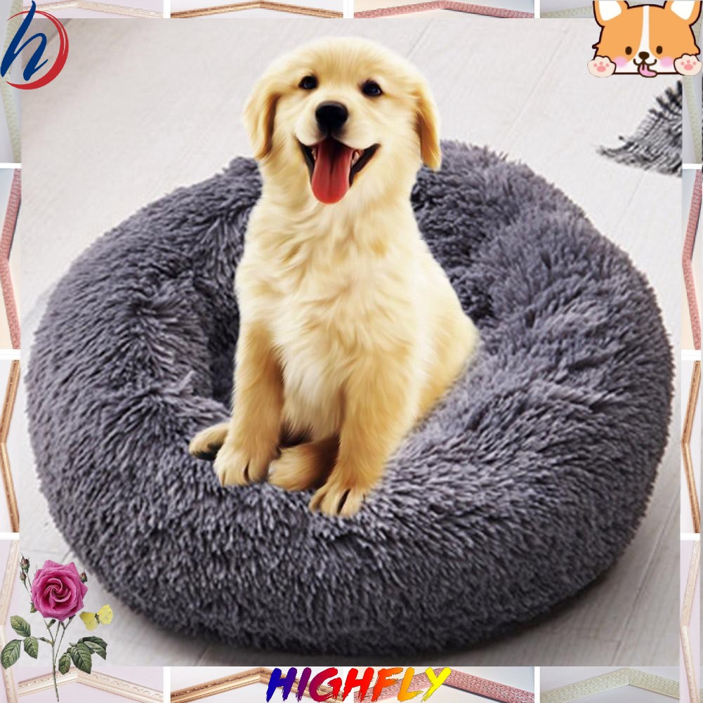 foldable pet bed