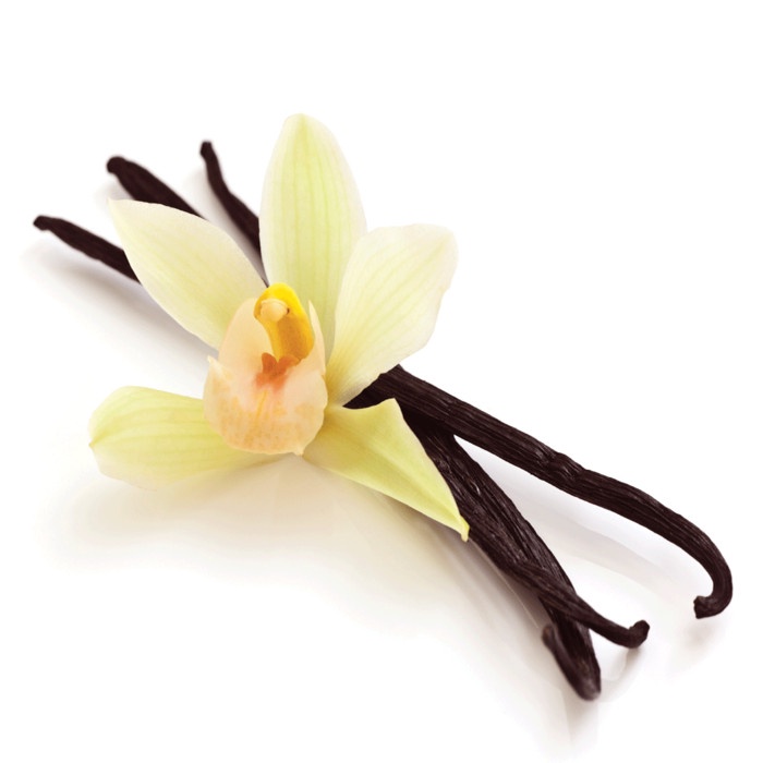 

rg201tg 30Ml Vanilla Extract Non Alcohol Halal Mui - La Dame In Vanilla Xz20X1Z11