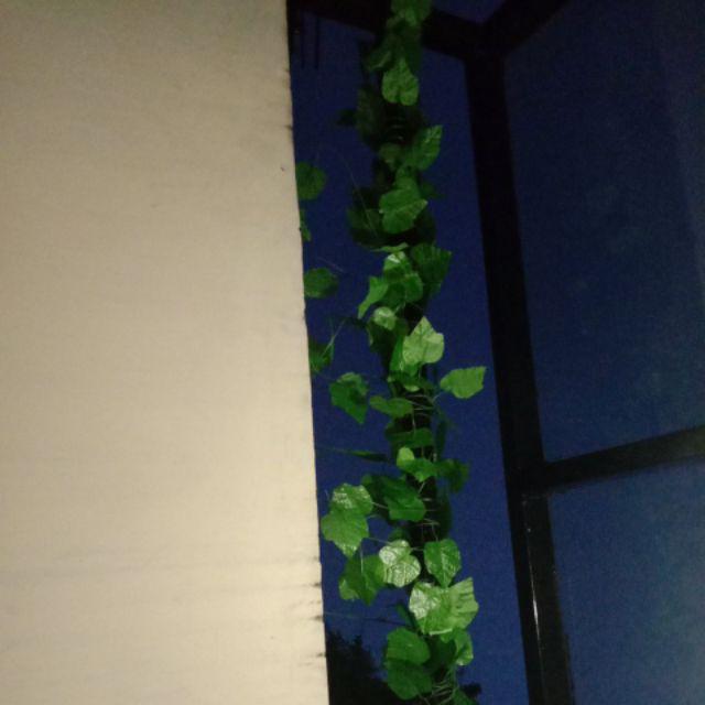 Daun hias rambat daun sulur daun menjalar daun merambat dekorasi