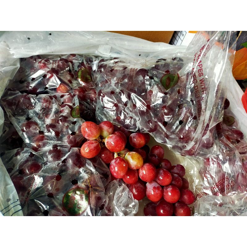 

buah anggur merah PERU BESAR & manis ada biji